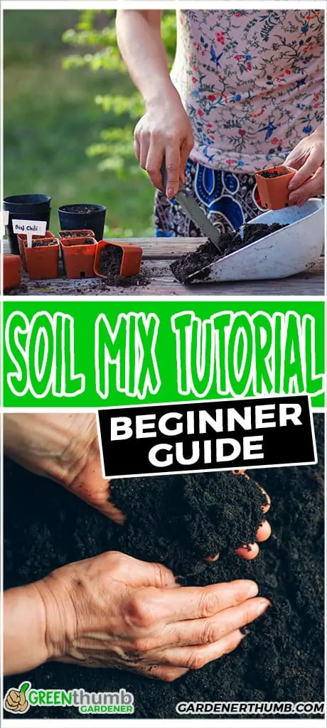 Best soil mix for container gardening with healthy plants