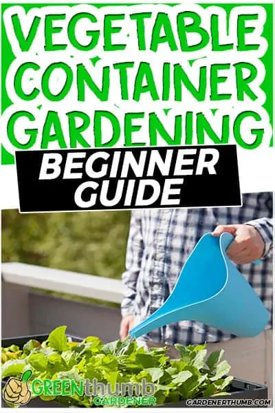 vegetable container gardening beginner gudie