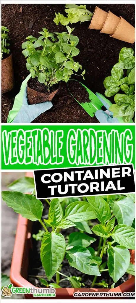 vegetable gardening container tutorial