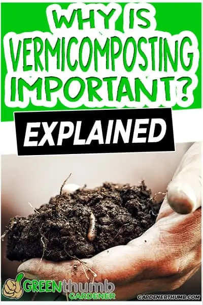 why is vermicomposting important explained