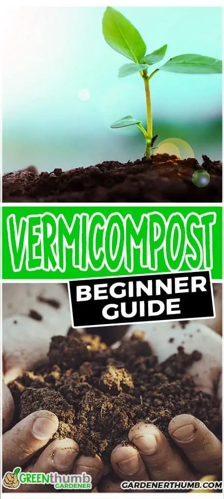 vermicompost beginner guide