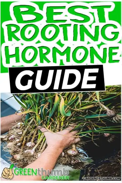 best rooting hormone guide