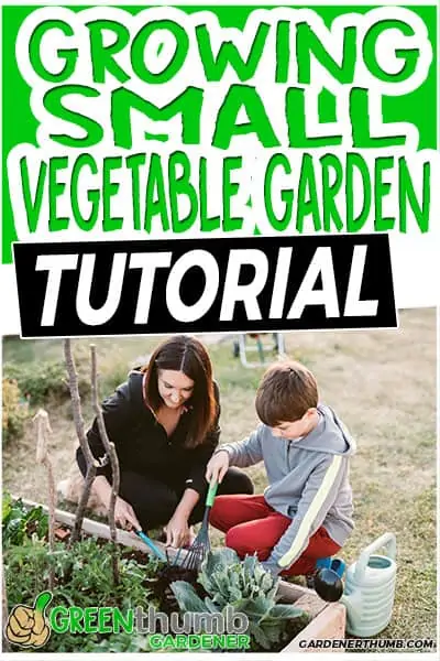 growing small vegetable garden tutorial