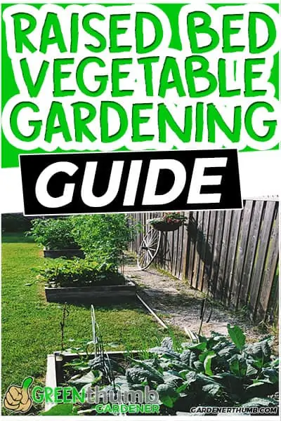 vegetable gardening fuide