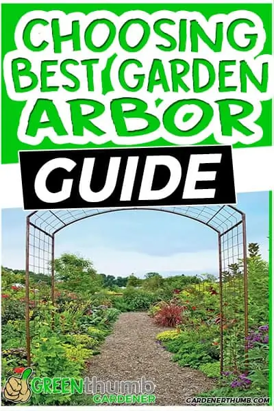 choosing best garden arbor guide