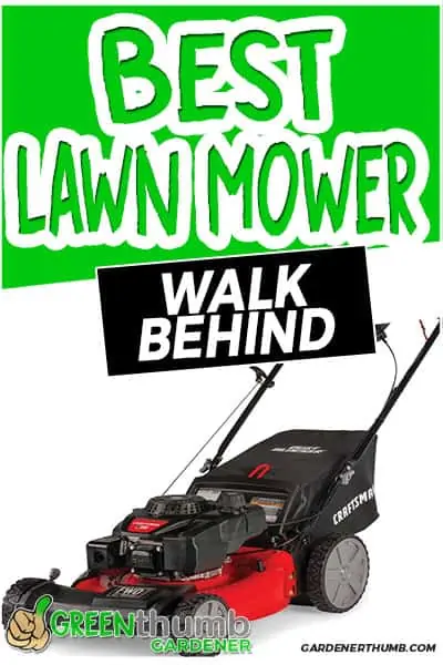 best lawn mower walk behind