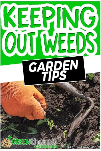 keeping out weeds garden tips