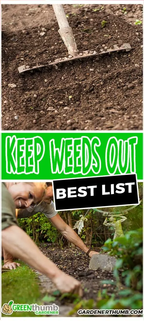 keep weeds out best list