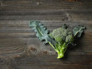 when to transplant broccoli