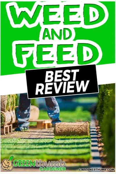 weed and feed best review