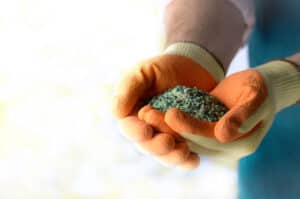 fertilizer for green beans
