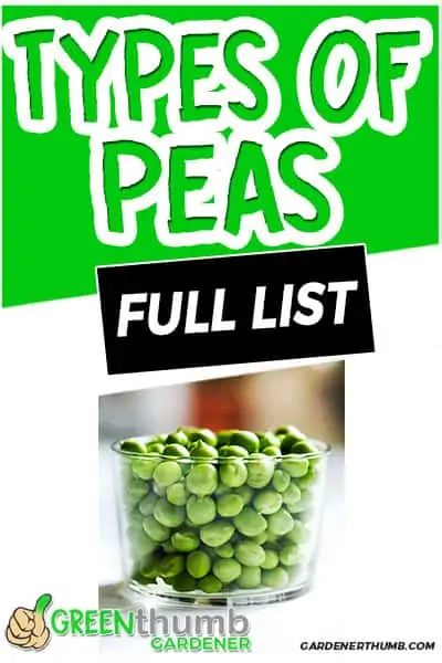 types of peas full list