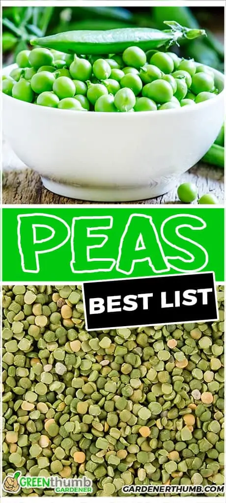 peas best list