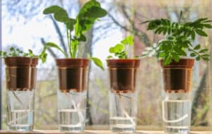 best self watering planters