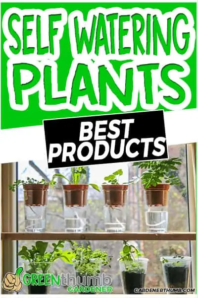 self watering plants best products