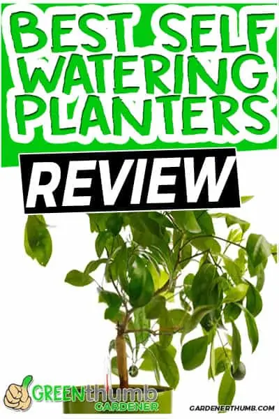 best self watering planters review