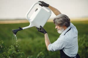 best time to water a garden