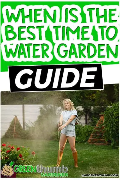 when is the best time ti water garden