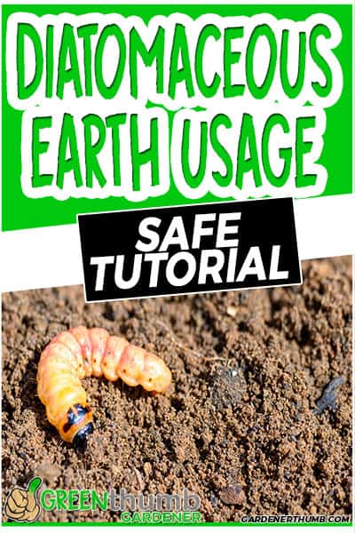 diatomaceous earth usage safe tutorial