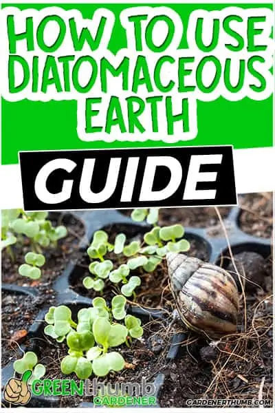 how to use diatomaceous earth guide