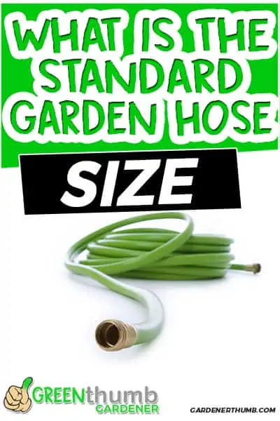 what is the standard garden hose size