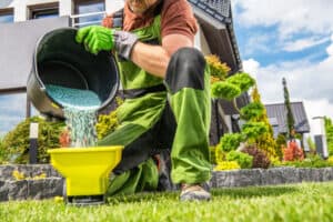 best natural fertilizer for vegetable garden
