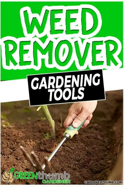 weed remover gardening tools