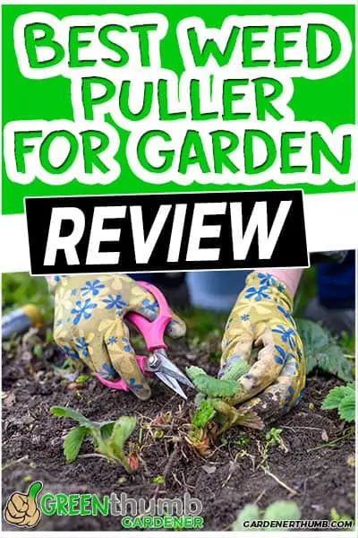 best weed puller for garden review
