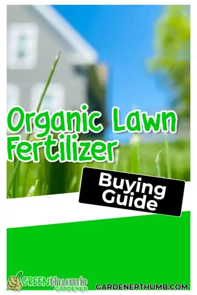 organic lawn fertilizer