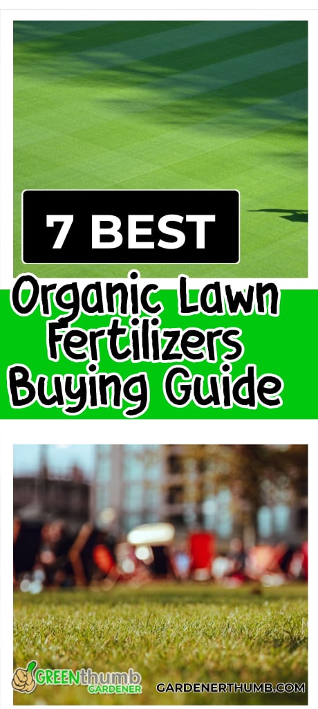 organic lawn fertilizers