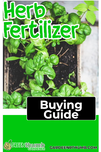 fertilizers for herbs