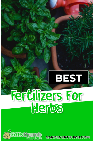 best fertilizers for herbs