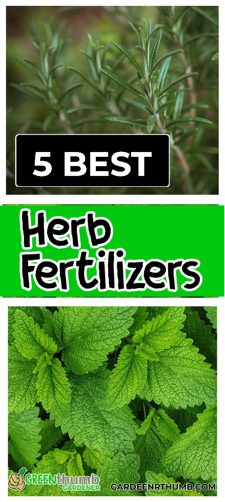 best herb fertilizers